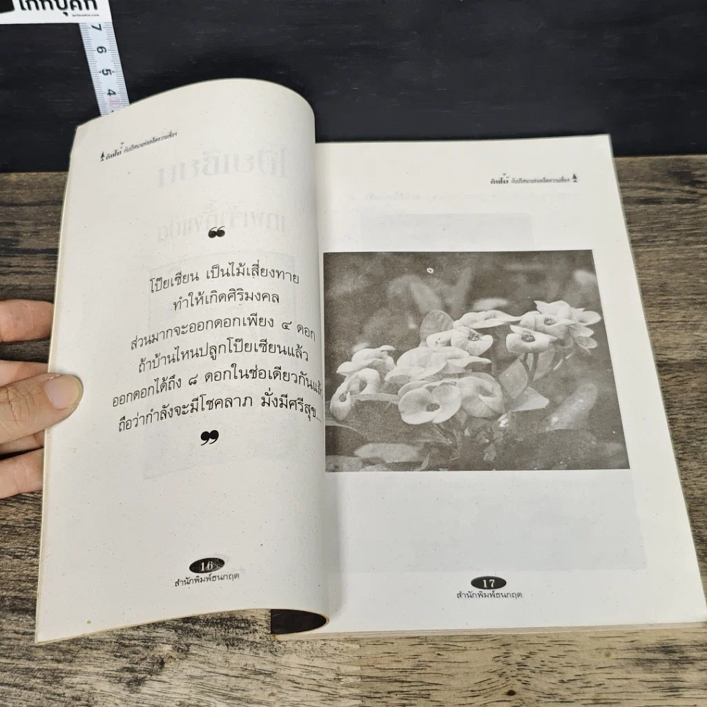 หนังสือ ต้นไม้กับปริศนาแห่งเคล็ดความเชื่อ ความงามและความหมาย รูปที่ 8