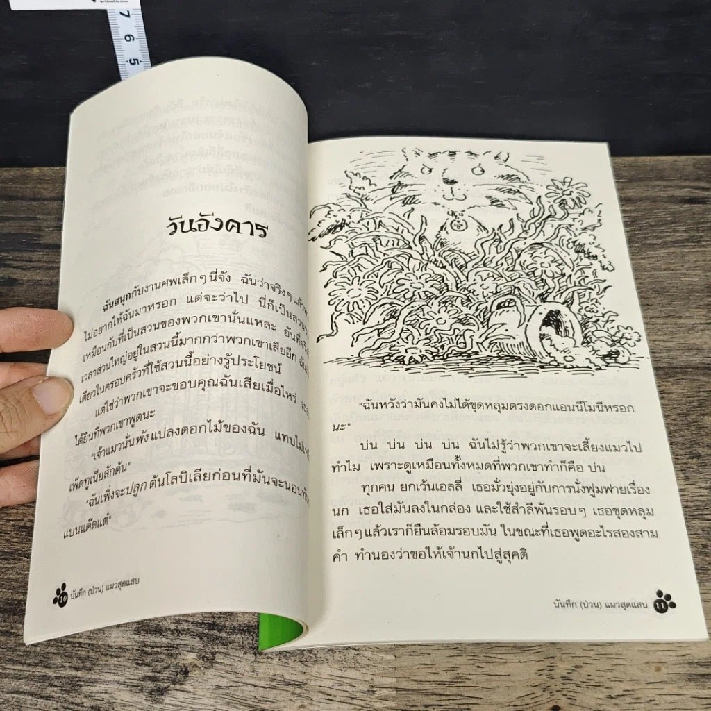 หนังสือ บันทึก(ป่วน)แมวสุดแสบ รูปที่ 7
