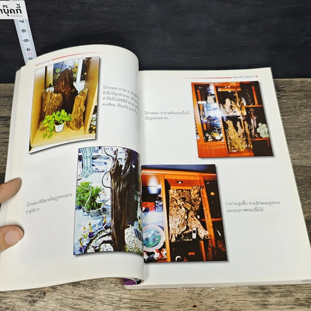 หนังสือ ไม้กฤษณาปลูกต้นละหมื่น ไร่เป็นล้าน... รูปที่ 9