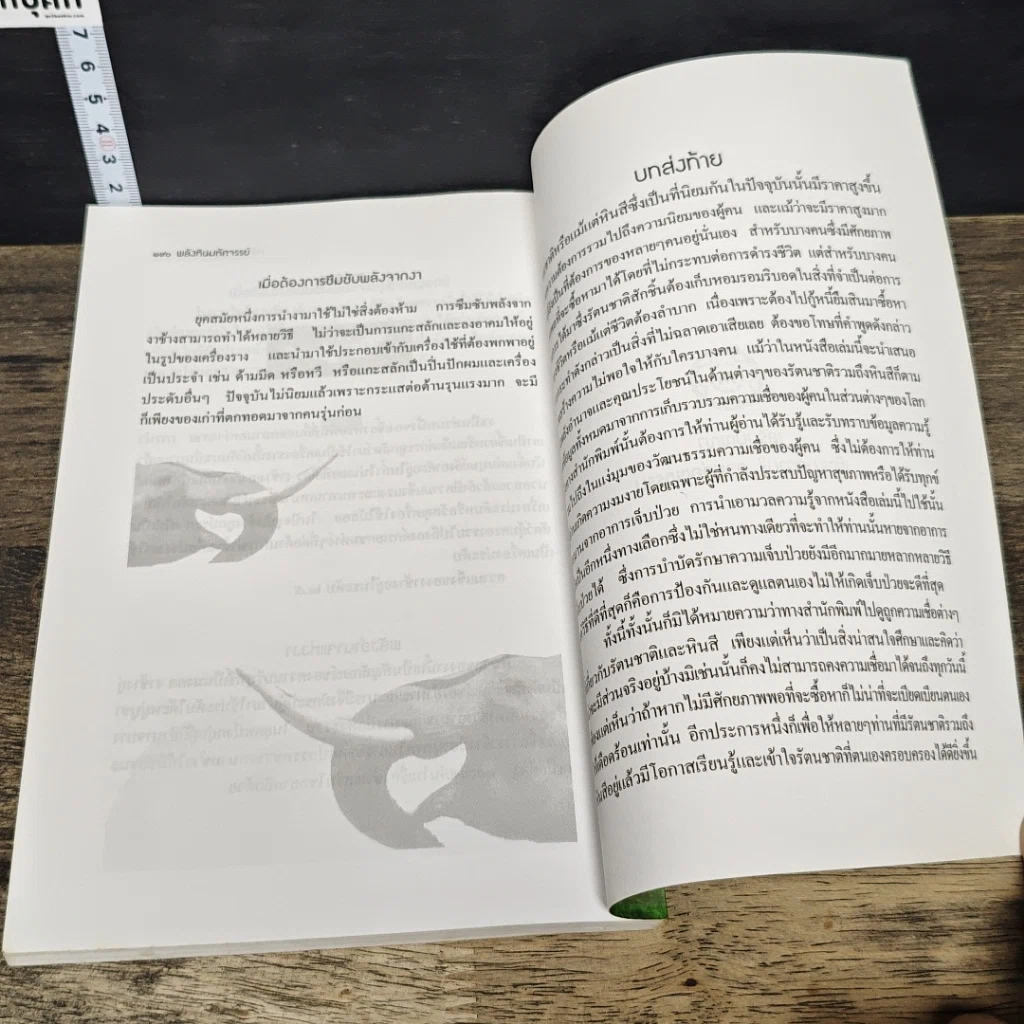 หนังสือ พลังหินมหัศจรรย์ The Power of Gemstones รูปที่ 9