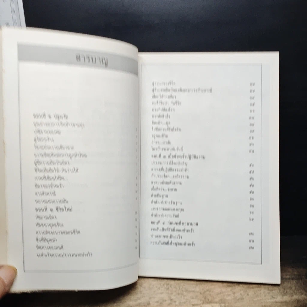 หนังสือ ก่อนจะเกิดใหม่ในเพศสมณะ รูปที่ 7