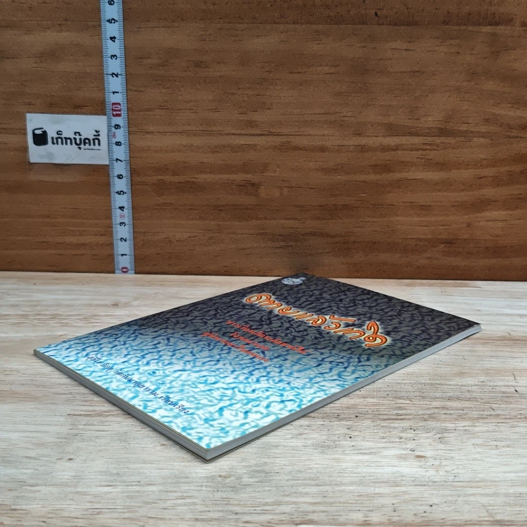 หนังสือ ตายแล้วเกิด ข่าวเรื่องเด็กระลึกชาติได้ โจทก์จำเลยผู้พิพากษาในตัวเอง รูปที่ 4