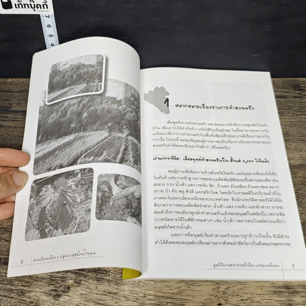 หนังสือ สวนครัวคนเมือง ปลูกความสุขในบ้านคุณ รูปที่ 8
