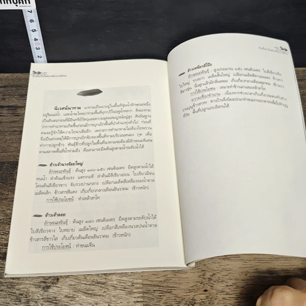 หนังสือ ข้าวพื้นบ้าน เชื้อพันธุ์แผ่นดินอีสาน รูปที่ 9