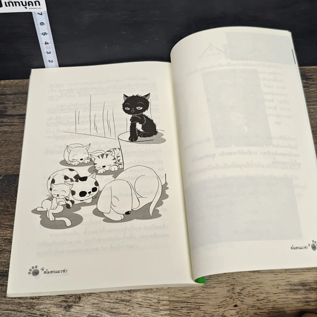 หนังสือ สโมสรแมวซ่า รูปที่ 9