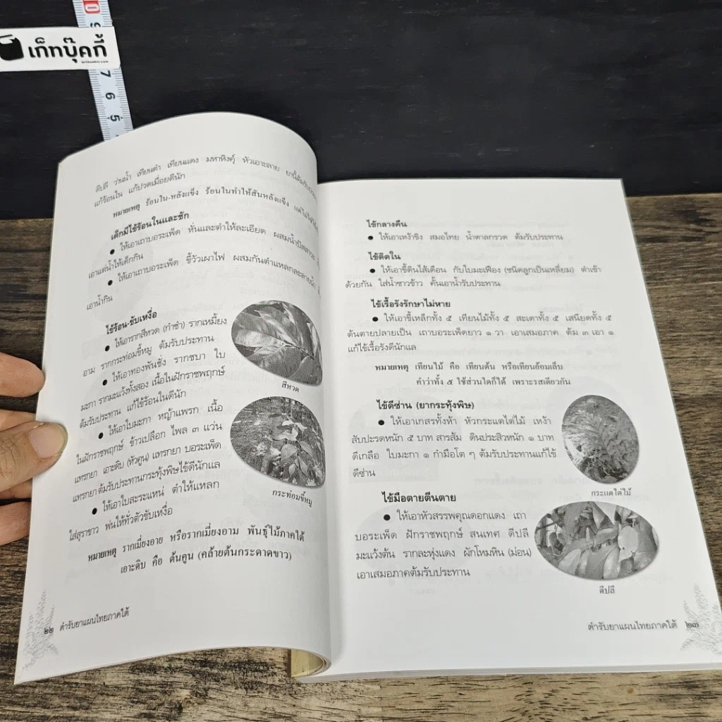 หนังสือ ตำรับยาแผนไทย ภาคใต้ รูปที่ 9