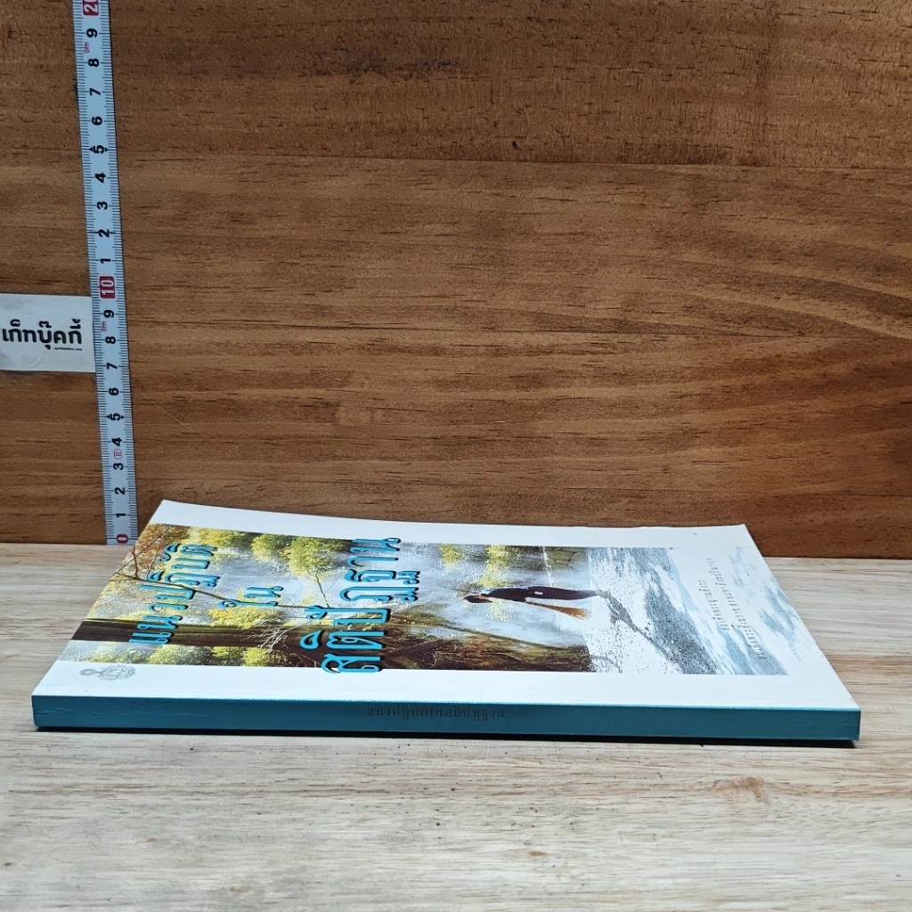 หนังสือ แนวปฏิบัติในสติปัฏฐาน รูปที่ 3
