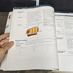 หนังสือ First Aid for the USMLE Step 1 รูปที่ 8