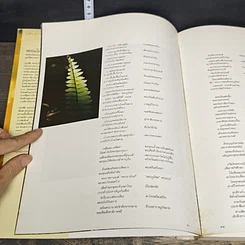 หนังสือ พรรณไม้ในสวนหลวง ร.9 รูปที่ 6