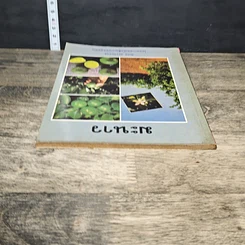 หนังสือ มะนาว รูปที่ 4
