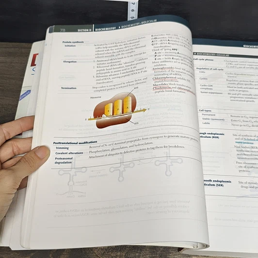 หนังสือ First Aid for the USMLE Step 1 รูปที่ 8