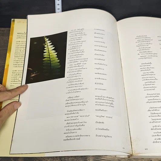 หนังสือ พรรณไม้ในสวนหลวง ร.9 รูปที่ 6