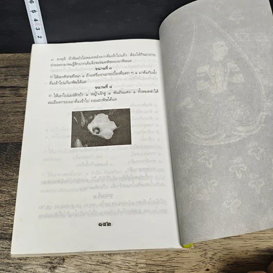 หนังสือ 108 พันเก้า ยอดยาแผนโบราณไทย พร้อมวิธีรักษาครบครัน รูปที่ 9