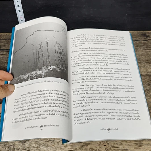 หนังสือ เริงระบำกับฝูงปลา ชมดาราใต้ทะเลลึก รูปที่ 7
