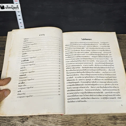 หนังสือ ไม้ตัดดอก รูปที่ 7