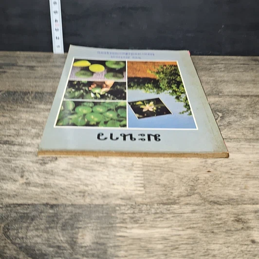 หนังสือ มะนาว รูปที่ 4