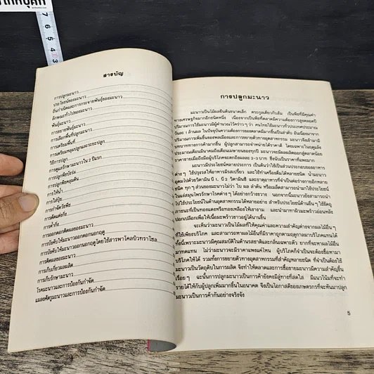 หนังสือ มะนาว รูปที่ 7