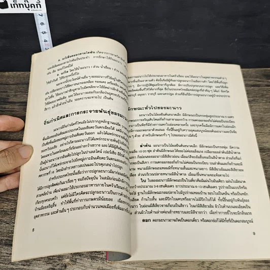 หนังสือ มะนาว รูปที่ 8