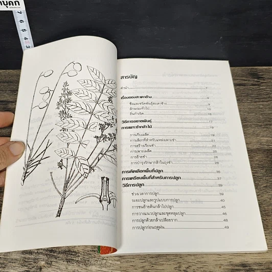 หนังสือ สะเดาช้าง รูปที่ 7