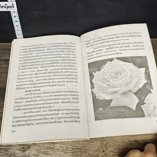 หนังสือ การปลูกกุหลาบ รูปที่ 9