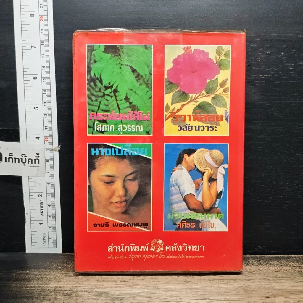 หนังสือ รักจำแลง รูปที่ 2
