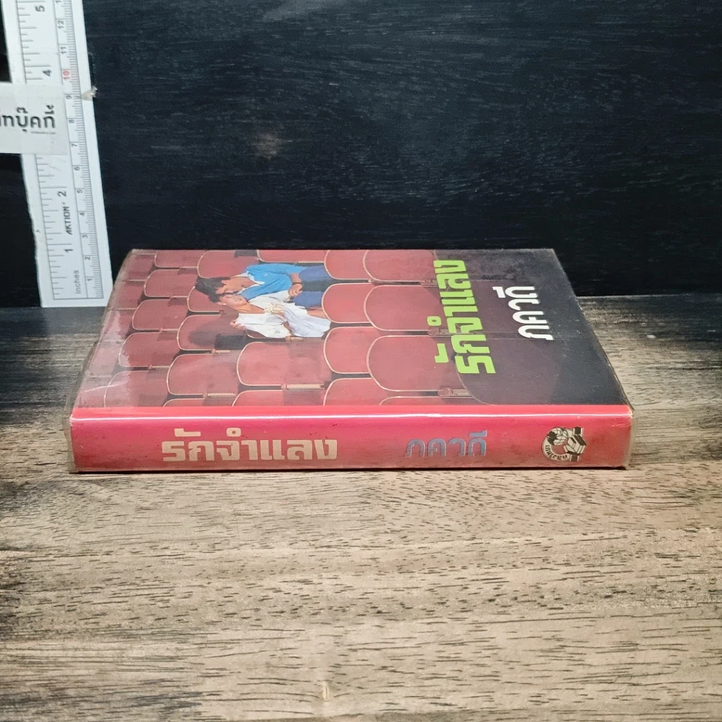 หนังสือ รักจำแลง รูปที่ 3