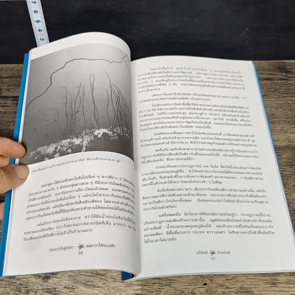 หนังสือ เริงระบำกับฝูงปลา ชมดาราใต้ทะเลลึก รูปที่ 7