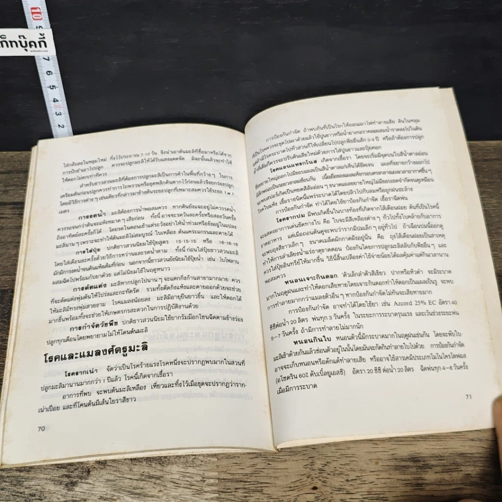 หนังสือ ไม้ตัดดอก รูปที่ 9