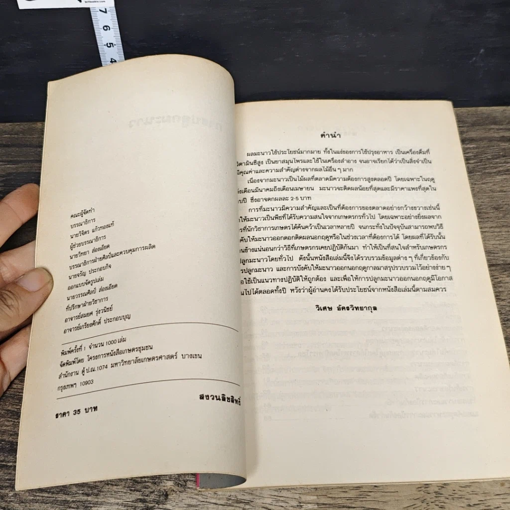 หนังสือ มะนาว รูปที่ 6