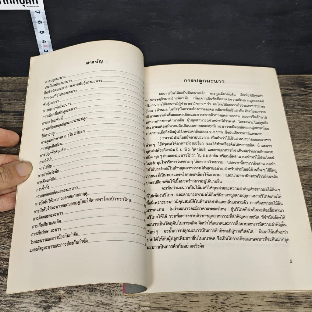 หนังสือ มะนาว รูปที่ 7