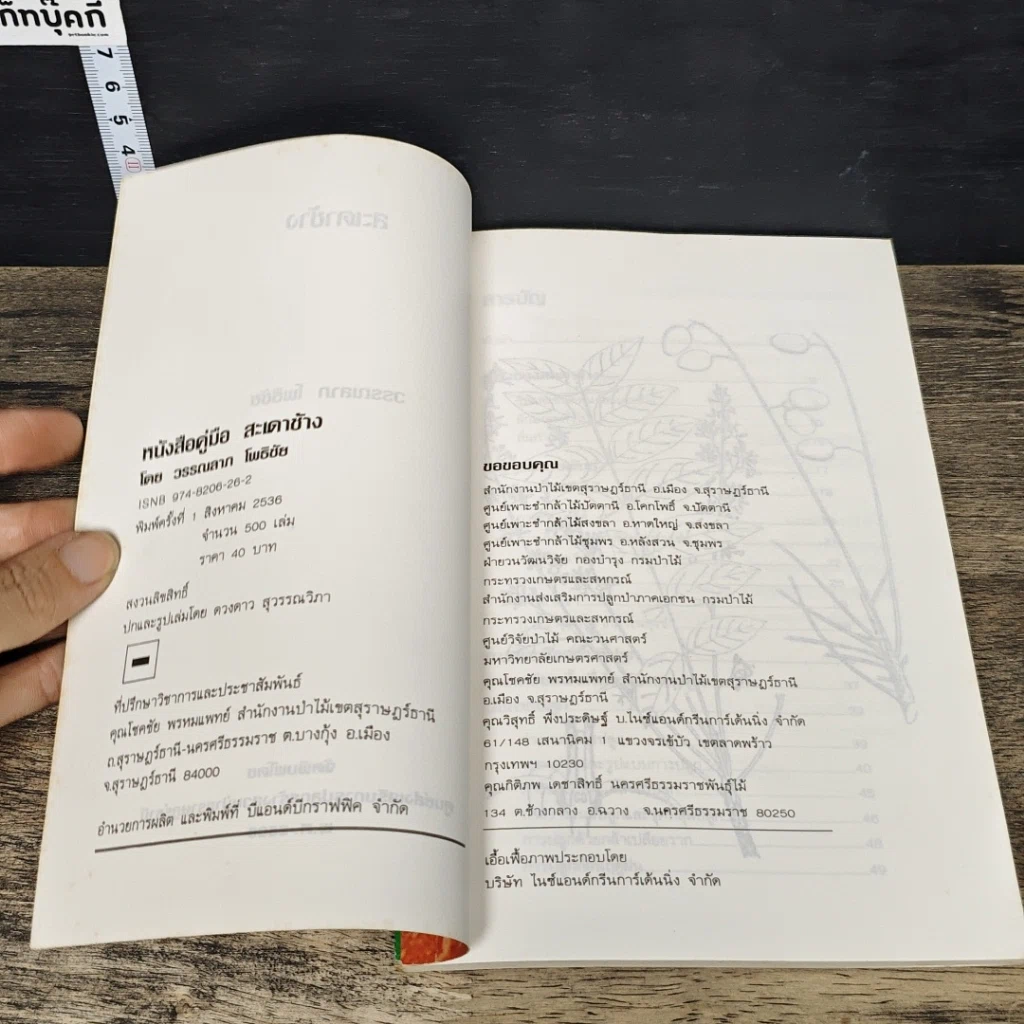 หนังสือ สะเดาช้าง รูปที่ 6