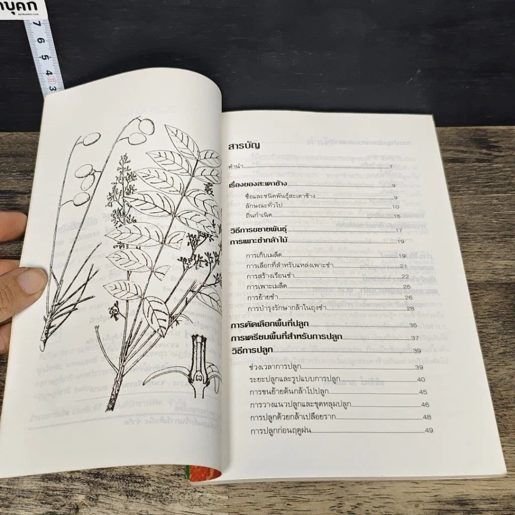 หนังสือ สะเดาช้าง รูปที่ 7