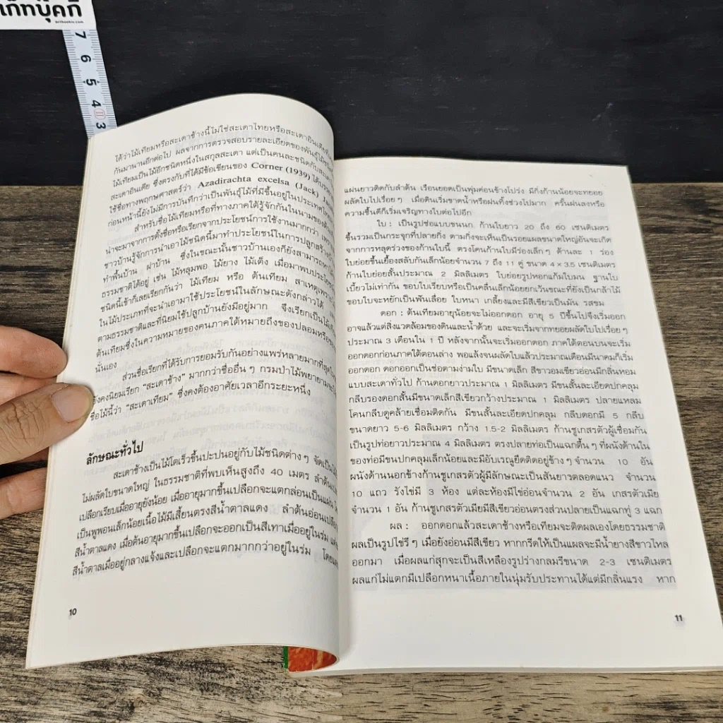 หนังสือ สะเดาช้าง รูปที่ 8