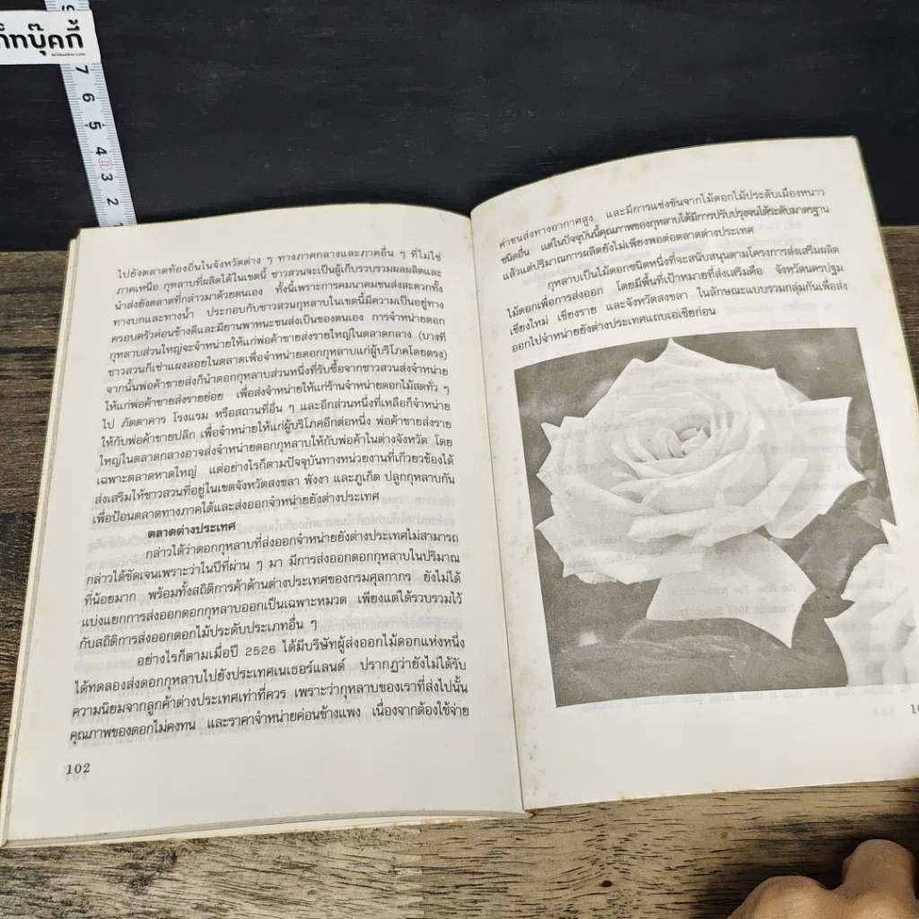 หนังสือ การปลูกกุหลาบ รูปที่ 9